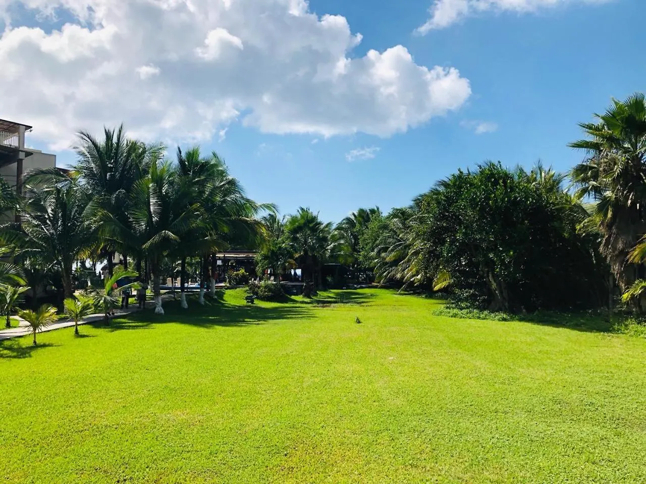 Ocean Beach V.I.P Apartment Cozumel