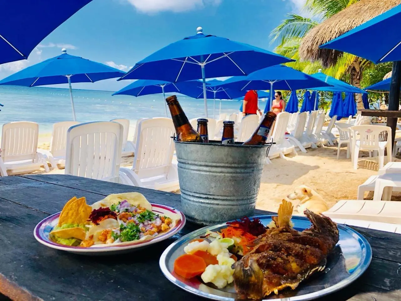 Ocean Beach V.I.P Apartment Cozumel