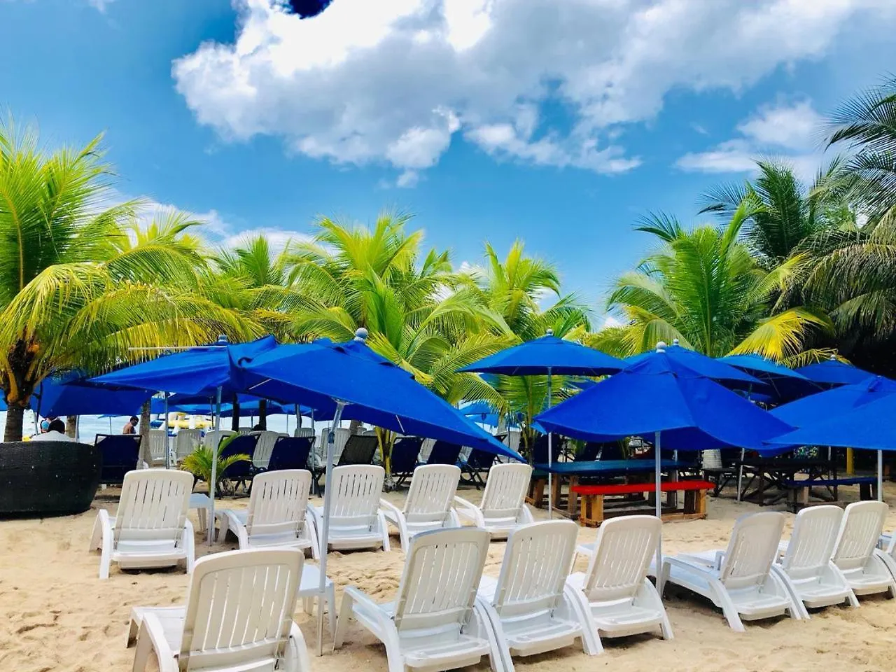Ocean Beach V.I.P Apartment Cozumel