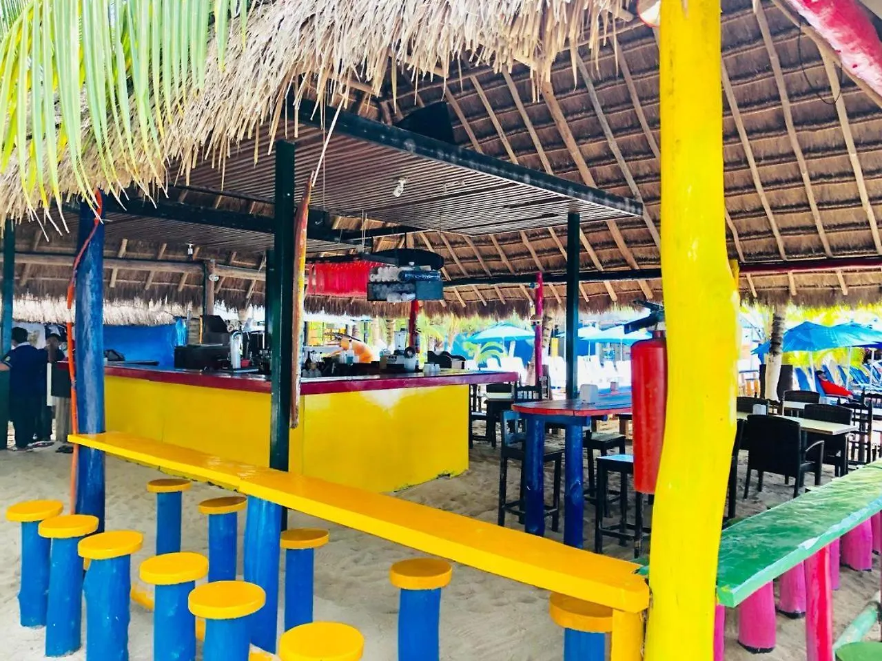 Ocean Beach V.I.P Apartment Cozumel Mexico